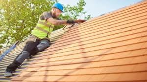 Best Skylight Installation and Repair  in Iowa Falls, IA