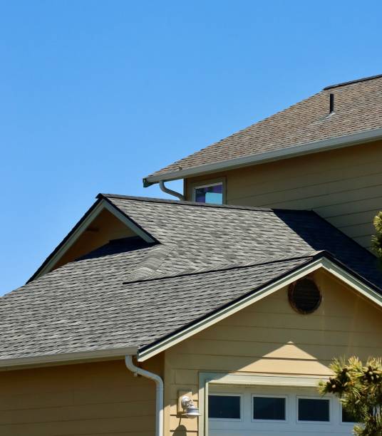 Best Steel Roofing  in Iowa Falls, IA